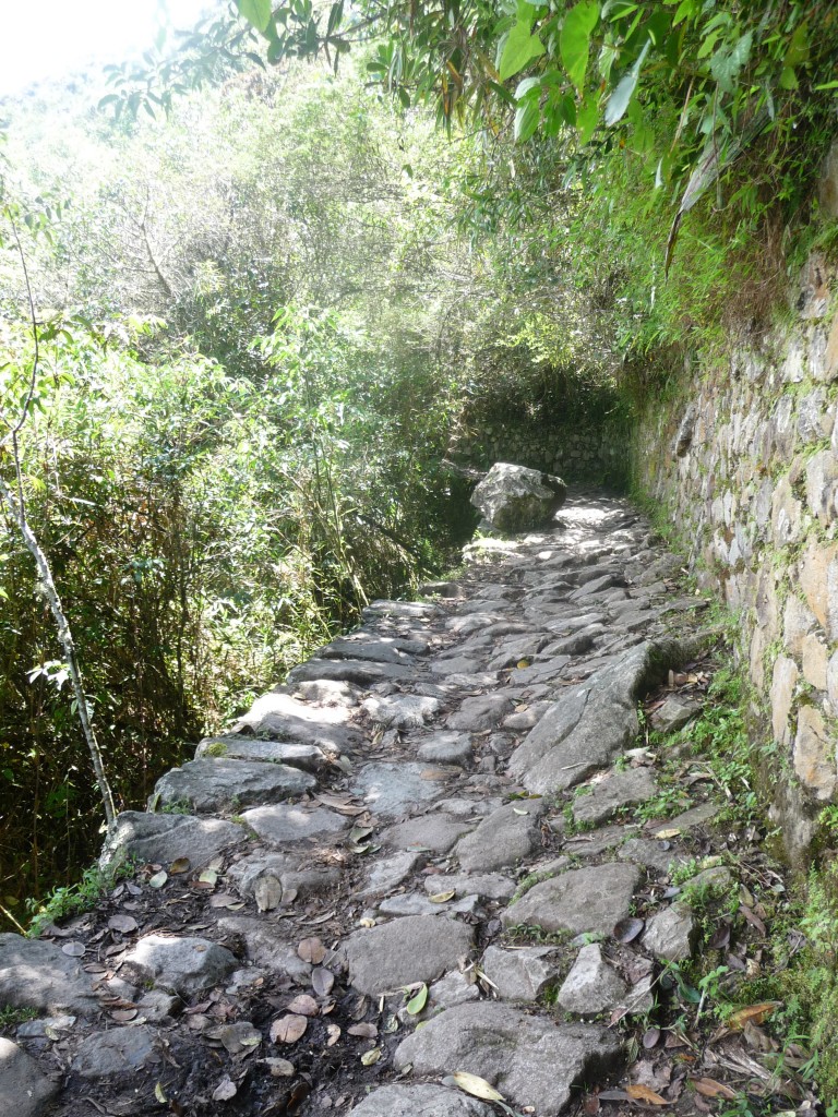 treks to Machu Picchu
