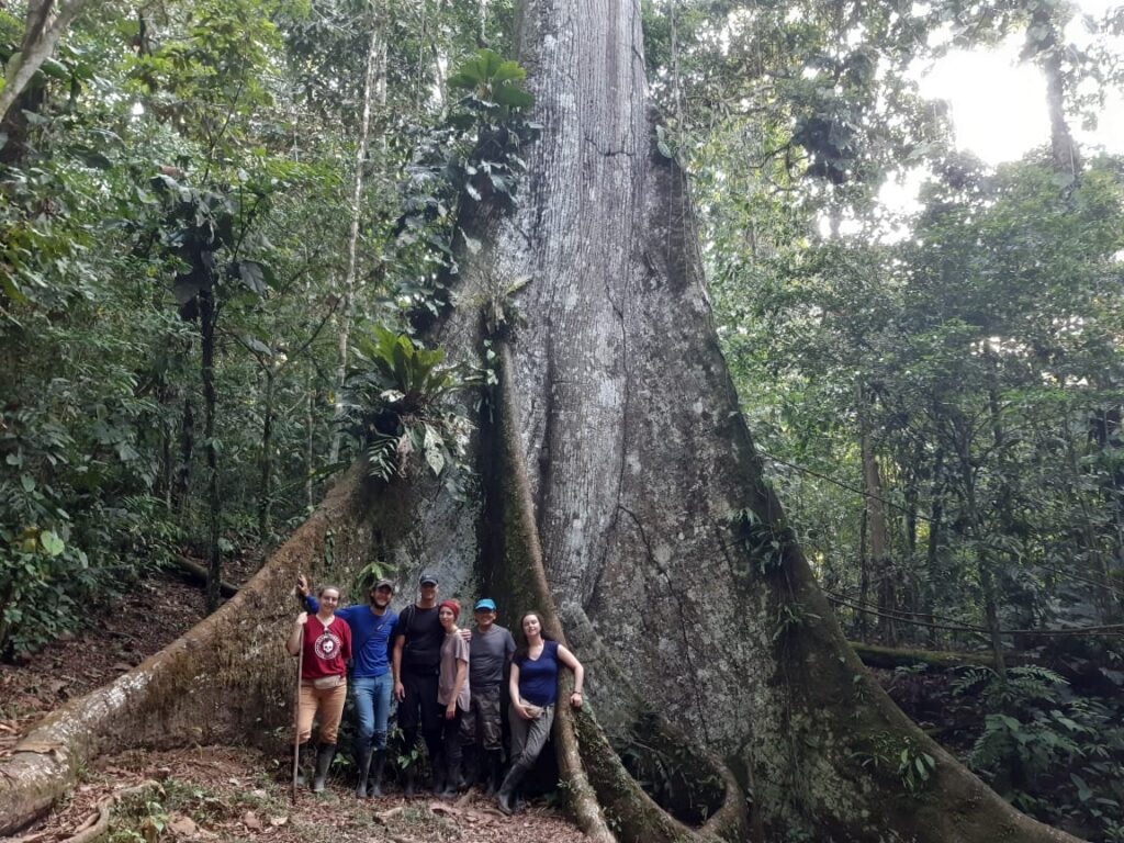 amazon rainforest peru